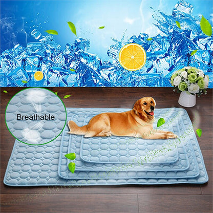7e5393791659d349db269d2c200b3190